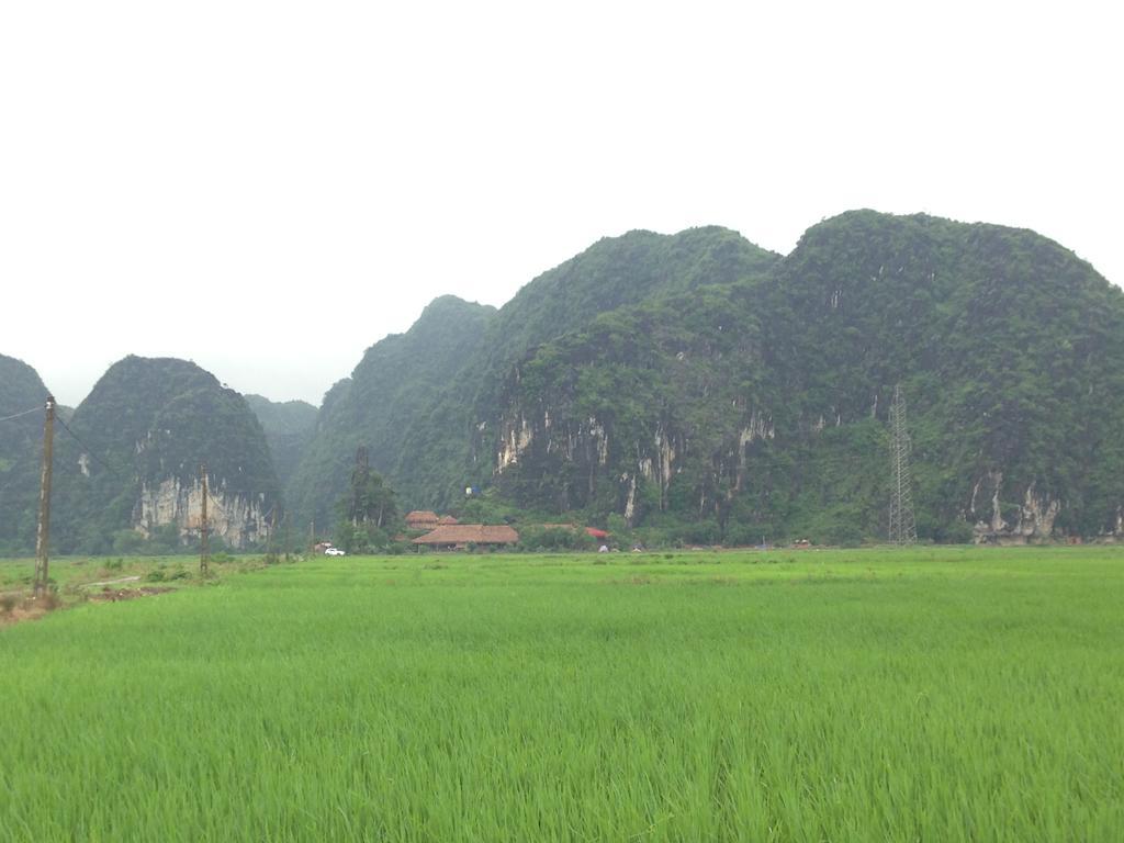 Tam Coc Homestay Ninh Binh Bagian luar foto