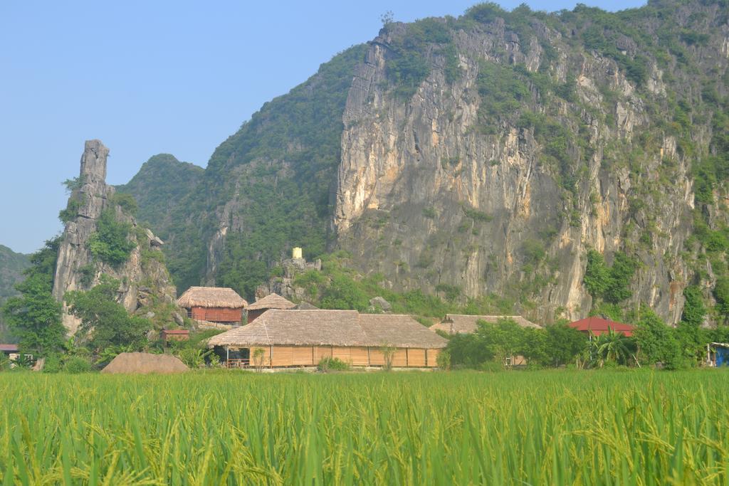 Tam Coc Homestay Ninh Binh Bagian luar foto