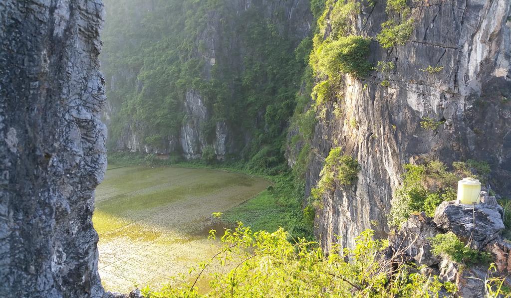 Tam Coc Homestay Ninh Binh Bagian luar foto